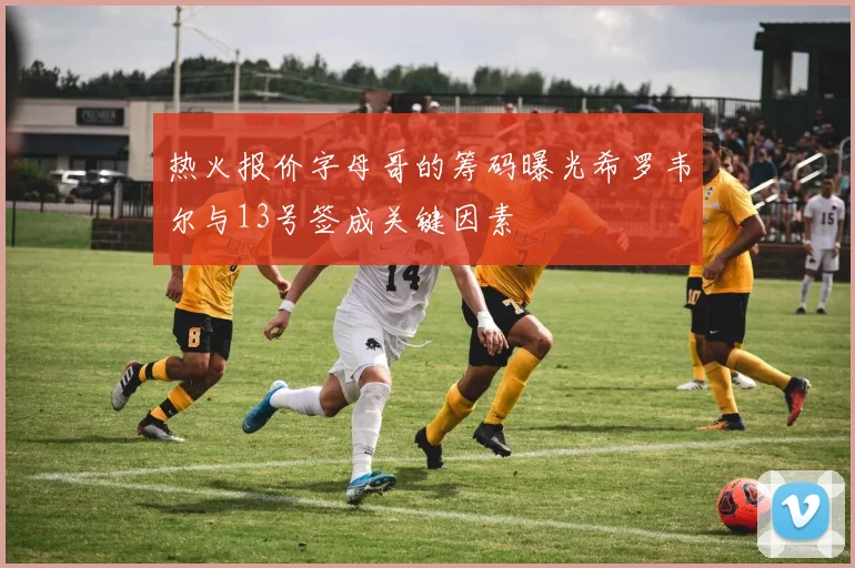 热火报价字母哥的筹码曝光希罗韦尔与13号签成关键因素